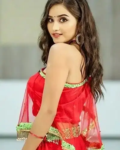 Call Girls Service Bichhua